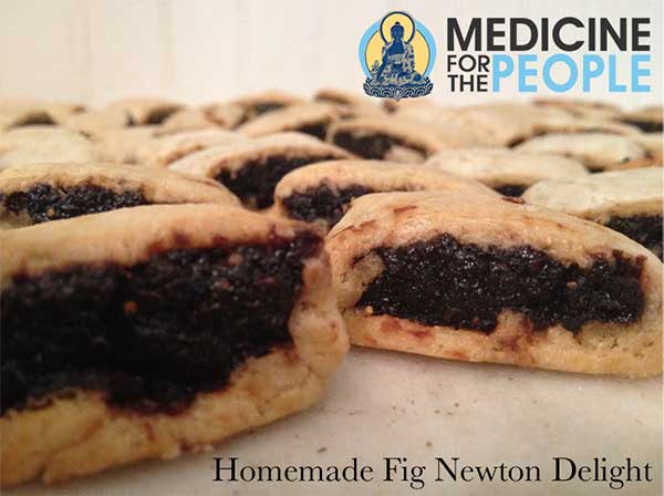 Fig Newtons.jpg