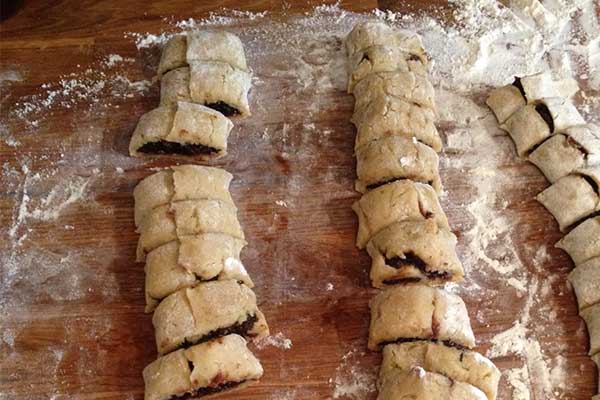 step 5 - cut them into newtons